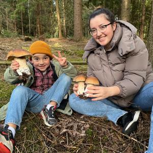 King Bolete